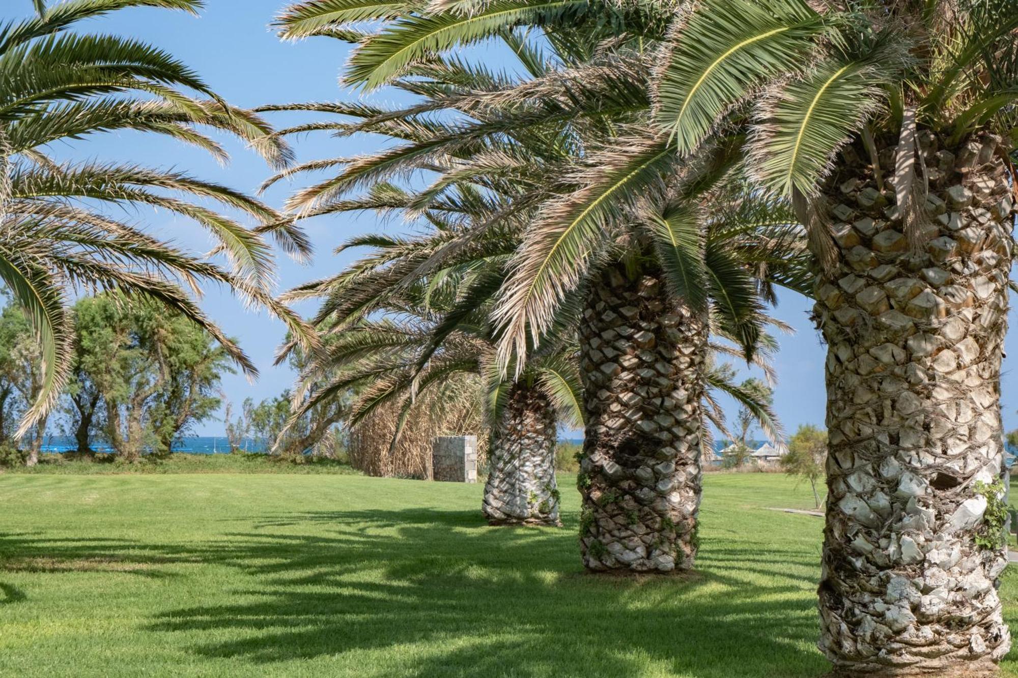 Agapi Premium Amoudara (Heraklion)